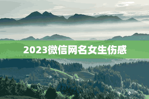 2023微信网名女生伤感(2023微信网名女生伤感干净无聊)